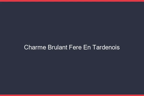 Charme Brulant Fere-en-Tardenois