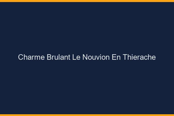Charme Brulant Le Nouvion-en-Thierache