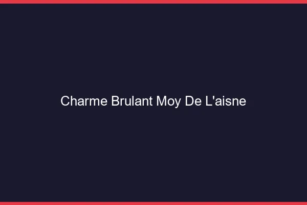 Charme Brulant Moy-de-l'Aisne