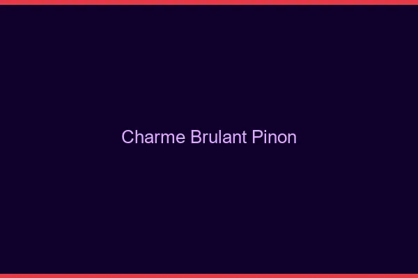 Charme Brulant Pinon
