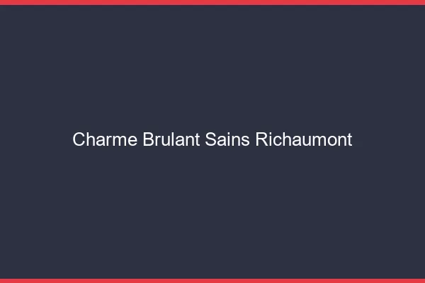 Charme Brulant Sains-Richaumont