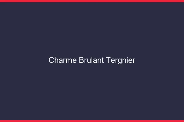 Charme Brulant Tergnier