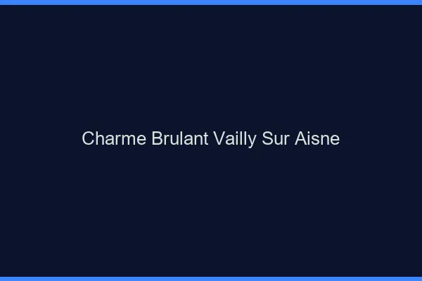 Charme Brulant Vailly-sur-Aisne