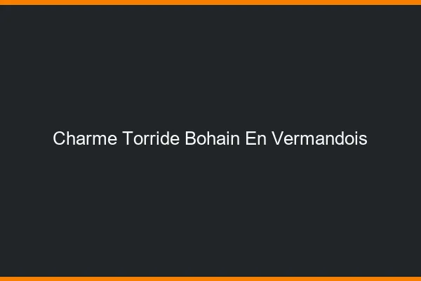 Charme Torride Bohain-en-Vermandois