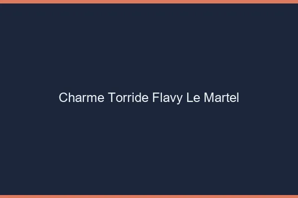 Charme Torride Flavy-le-Martel