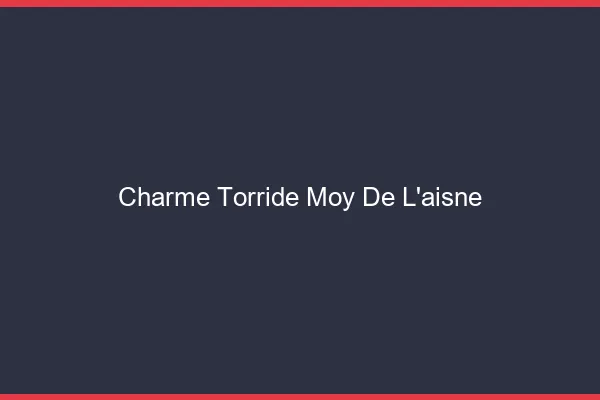 Charme Torride Moy-de-l'Aisne