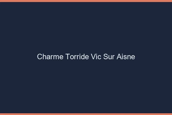 Charme Torride Vic-sur-Aisne