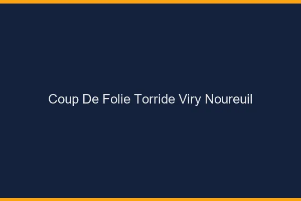 Coup de Folie Torride Viry-Noureuil