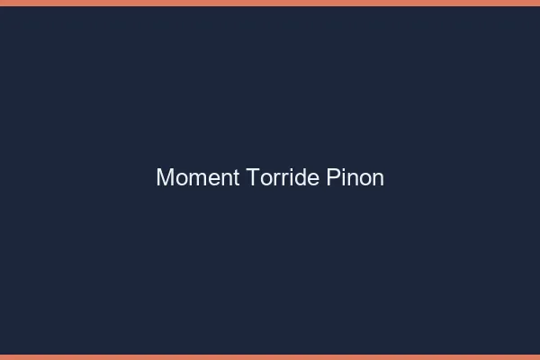 Moment Torride Pinon