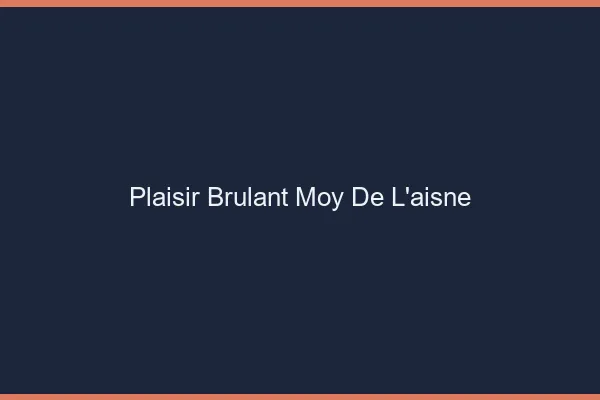 Plaisir Brulant Moy-de-l'Aisne