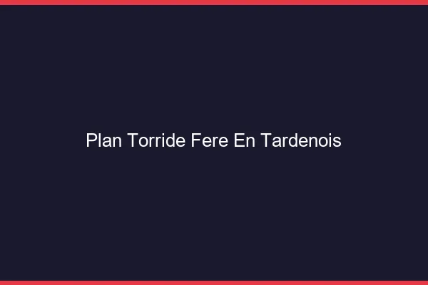 Plan Torride Fere-en-Tardenois