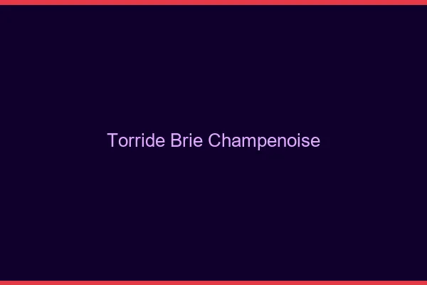 Torride Brie champenoise